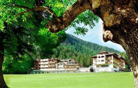 фото отеля Excelsior Mountain Style Spa Resort