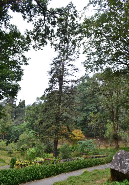 достопримечательность Lloyd Botanical Garden - фото туристов