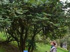 достопримечательность Lloyd Botanical Garden - фото туристов
