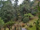 достопримечательность Lloyd Botanical Garden - фото туристов