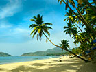 Tropical beach of Palolem, Goa, India