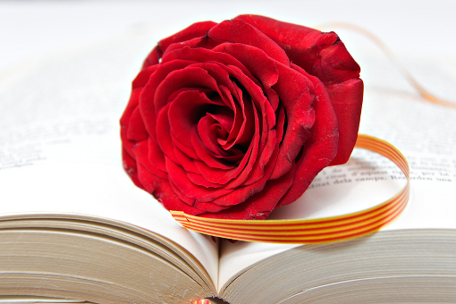 День Святого Георгия празднуют сегодня в Каталонии - Rose and Book, a tradition in Catalonia, La Diada de Sant Jordi, Spain
