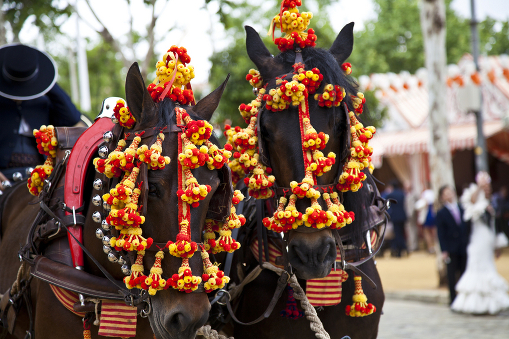 Сегодня стартовала Апрельская ярмарка в городе Севилья - Horses decked in the fair in Sevilla, Spain