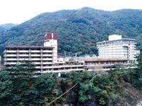 Kinugawa Green Palace