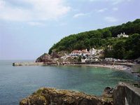 Babbacombe Palms Guest House