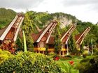 фото отеля Toraja Misiliana Hotel