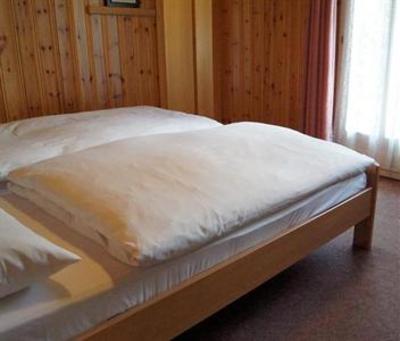 фото отеля Hotel Alpina Zermatt