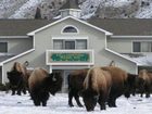 фото отеля Yellowstone Basin Inn