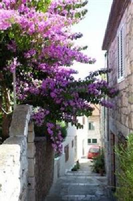 фото отеля Apartments and Rooms Bonkan Hvar