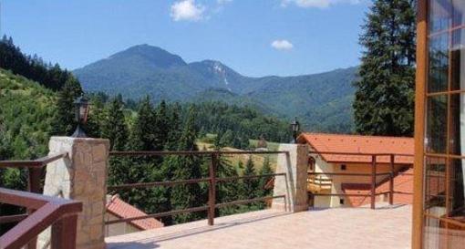 фото отеля Casa Olandeza Villa Timisu De Jos