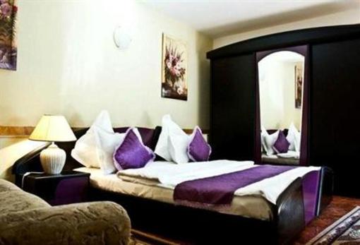 фото отеля Pension Cuibul Viselor