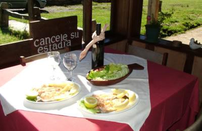 фото отеля Parque Huerquehue