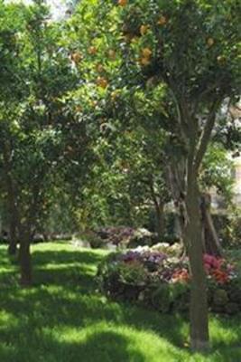 фото отеля Tourist Hotel Sorrento