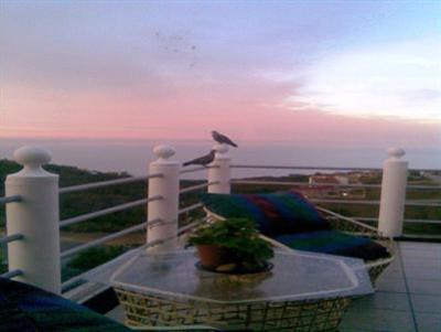 фото отеля Amzee Bokmakierie Guest House Mossel Bay