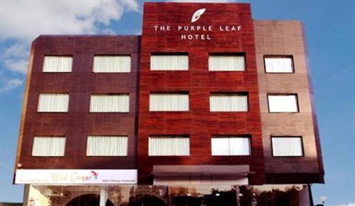 фото отеля The Purple Leaf Hotel