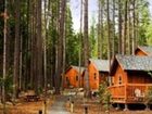 фото отеля Evergreen Lodge at Yosemite