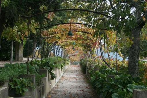 фото отеля Quinta da Cumieira