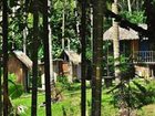 фото отеля Tampat Do Aman Jungle Camp