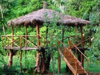 Mogli Jungle Resort