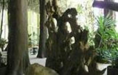 фото отеля Tree Tops Jungle Safaris