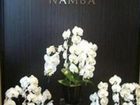фото отеля Floral Inn Namba