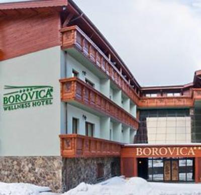 фото отеля Wellness Hotel Borovica
