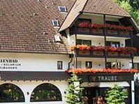 Hotel Traube Altensteig