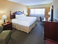 Holiday Inn Wichita Falls (At the Falls)