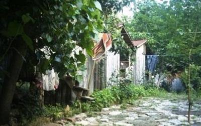 фото отеля Olympos Camlik Pension