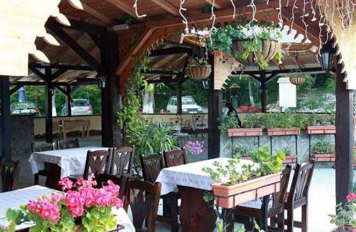 фото отеля Pension Casa cu Tei Sarata Monteoru