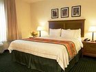 фото отеля TownePlace Suites Baltimore BWI Airport