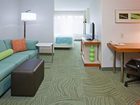 фото отеля SpringHill Suites Mayo Clinic Area/St. Mary's
