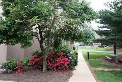 фото отеля Hampton Inn Exton