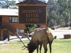 фото отеля Murphy's River Lodge