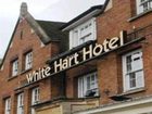 фото отеля The White Hart Hotel Newmarket (England)
