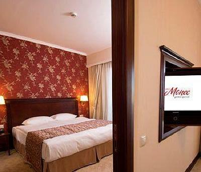 фото отеля Hotel Monec