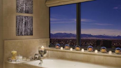 фото отеля The Ritz-Carlton, Denver