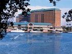 фото отеля Westin Tampa Harbour Island