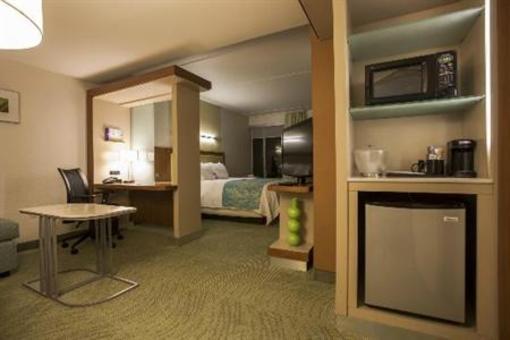 фото отеля SpringHill Suites Philadelphia Valley Forge King of Prussia