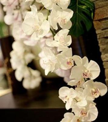 фото отеля Hotel Hawaii Riccione
