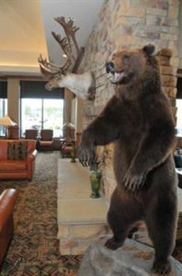 фото отеля Hilton Garden Inn Anchorage