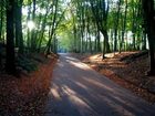фото отеля Tulip Inn de Veluwe
