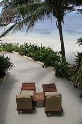фото отеля The Palms Oceanfront Suites