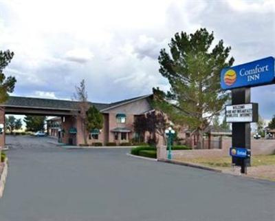 фото отеля Comfort Inn Holbrook