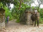 фото отеля Maruni Sanctuary Lodge Chitwan