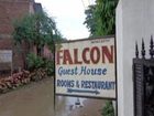 фото отеля Falcon guest House