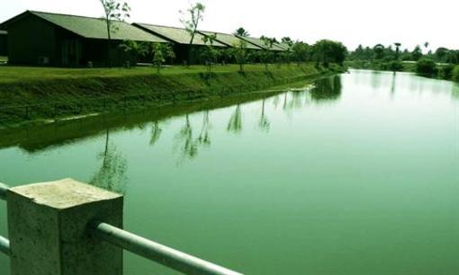 фото отеля Amethyst Resort, Passikuddah