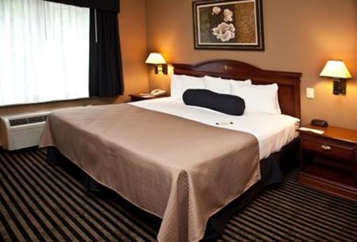фото отеля Mountain Inn & Suites