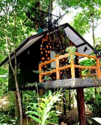 фото отеля Khao Sok Tree House Resort