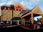 фото отеля Hilton Garden Inn Tampa Northwest Oldsmar